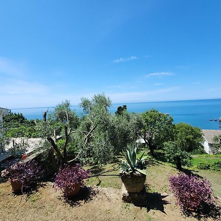 Apartment Ulcinj Eksteriør bilde