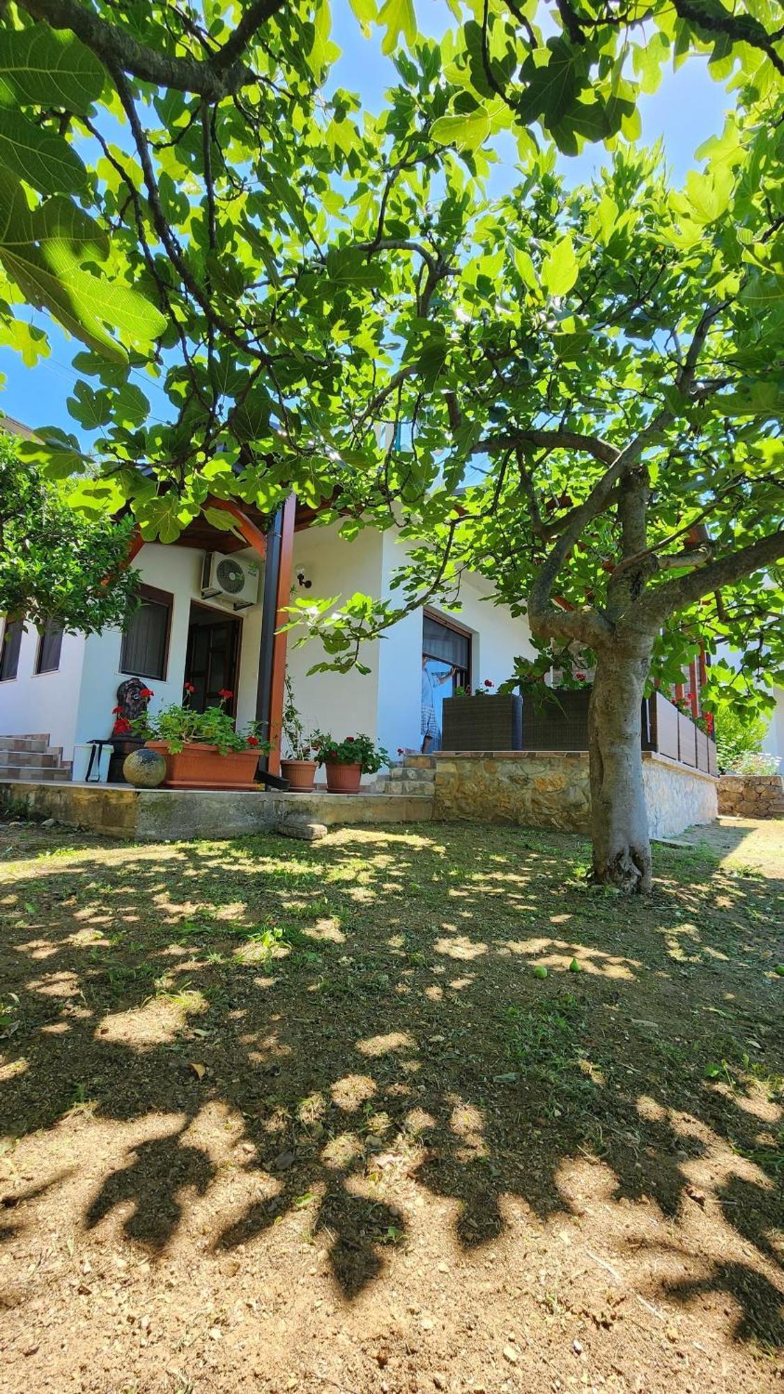 Apartment Ulcinj Eksteriør bilde
