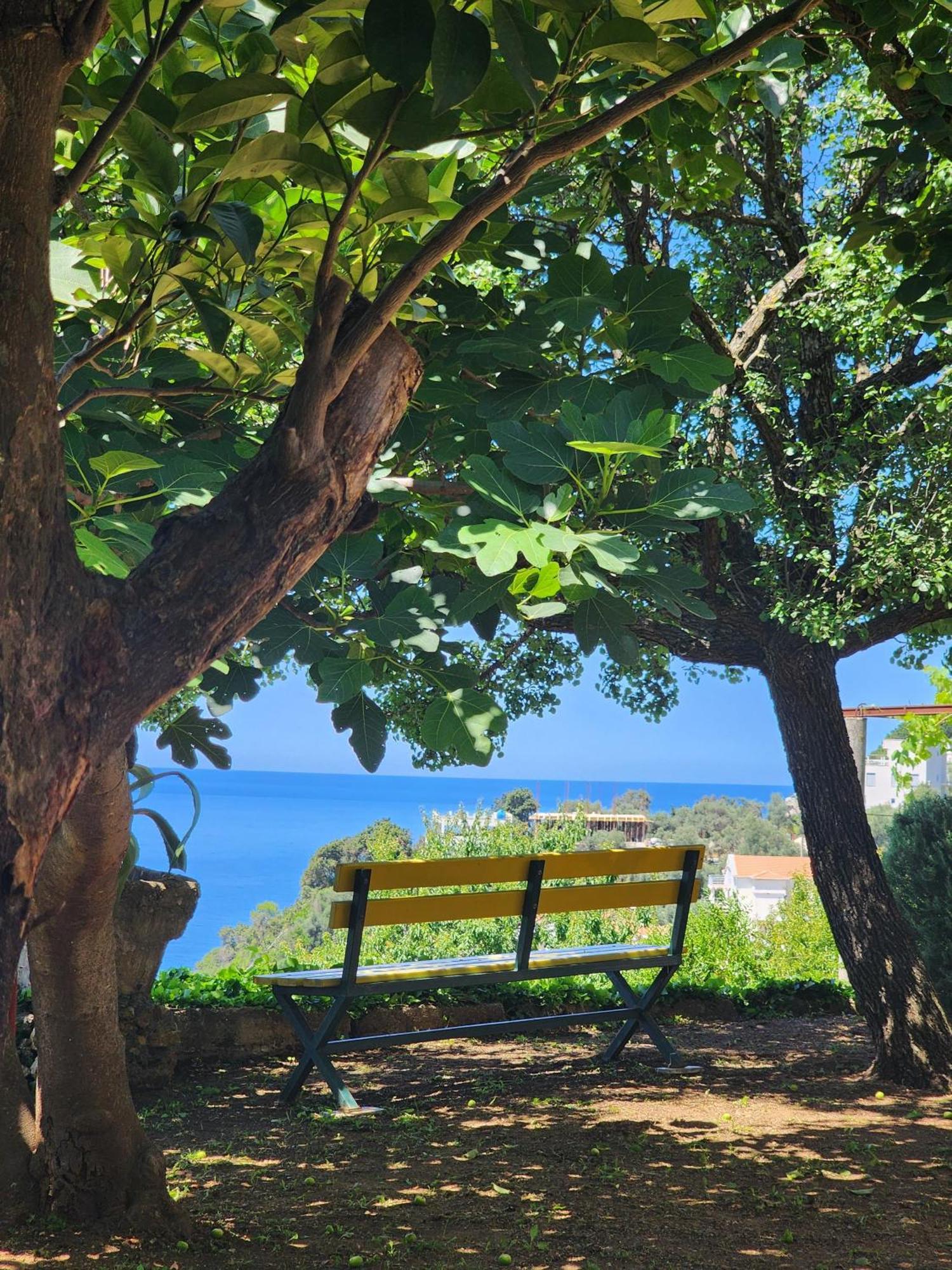 Apartment Ulcinj Eksteriør bilde