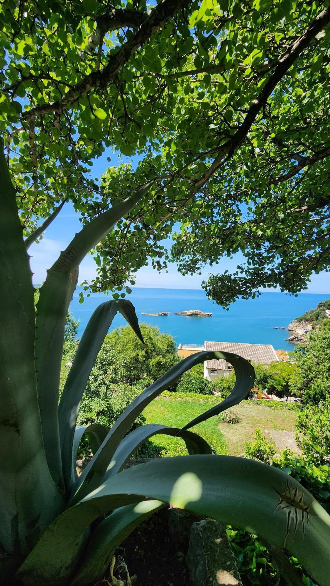 Apartment Ulcinj Eksteriør bilde