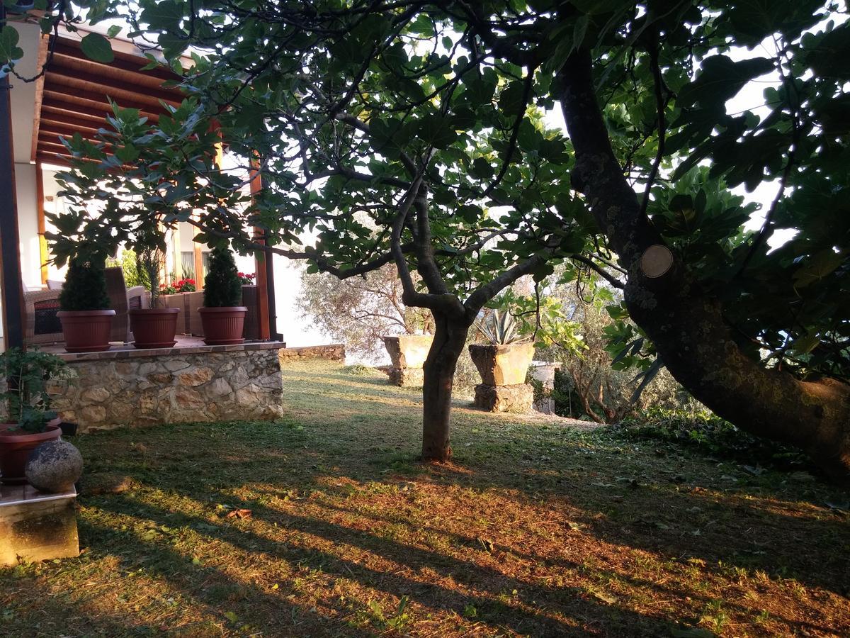 Apartment Ulcinj Eksteriør bilde